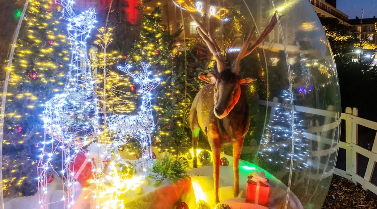 Vitribulle décoré avec un renne automate et rennes lumineux